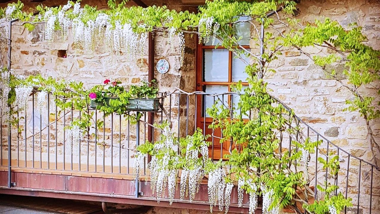 Hotel Podere Conti Filattiera Exteriör bild